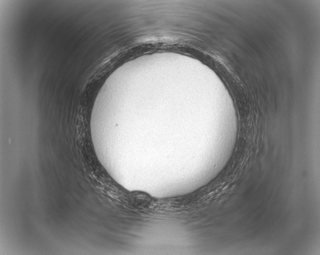 X0000067830967200605041619