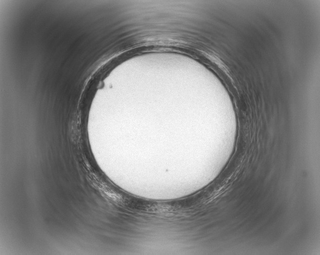 X0000067830971200605041619