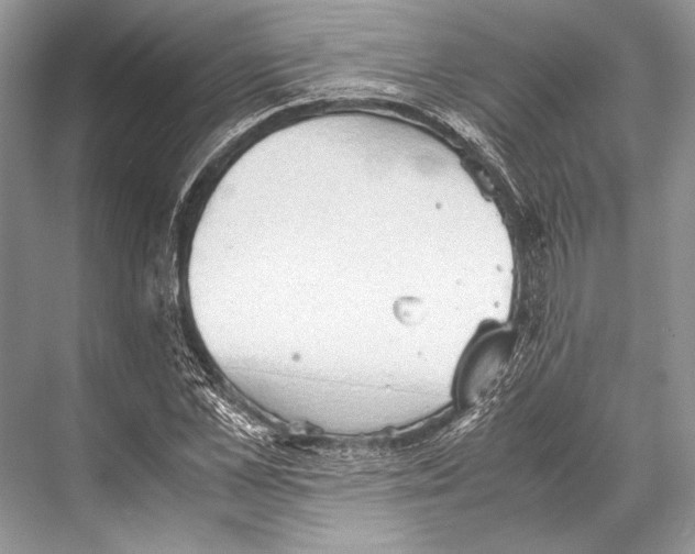 X0000067830973200605041619