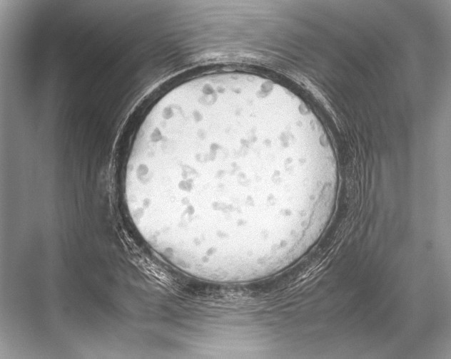 X0000067830975200605041619