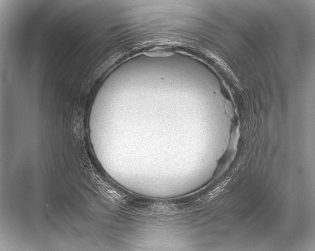 X0000067830977200605041619