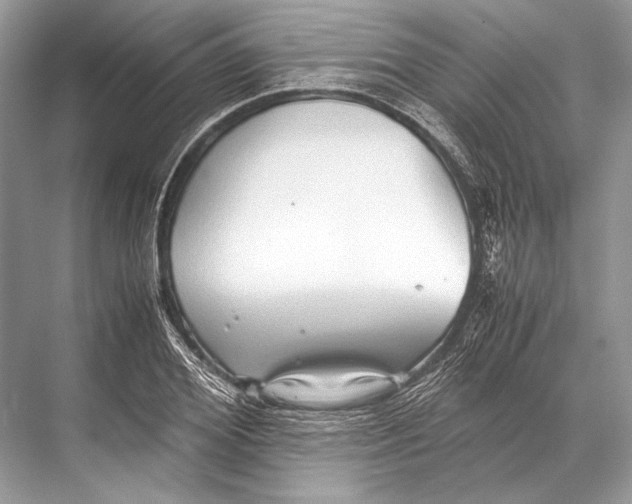 X0000067830980200605041619