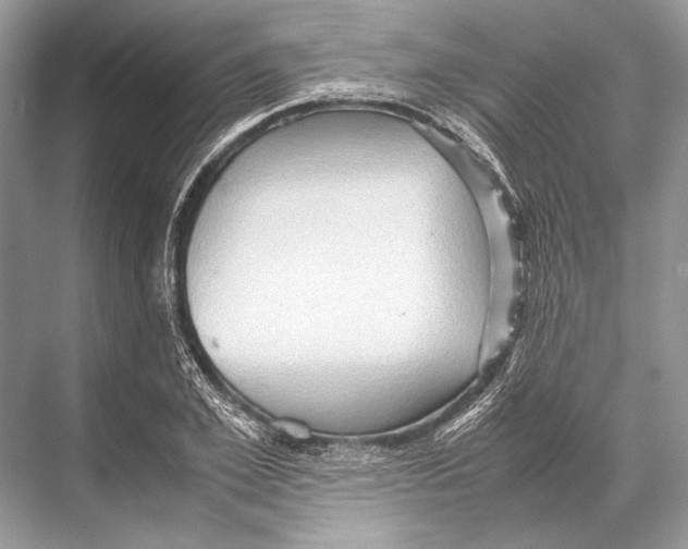 X0000067830981200605041619