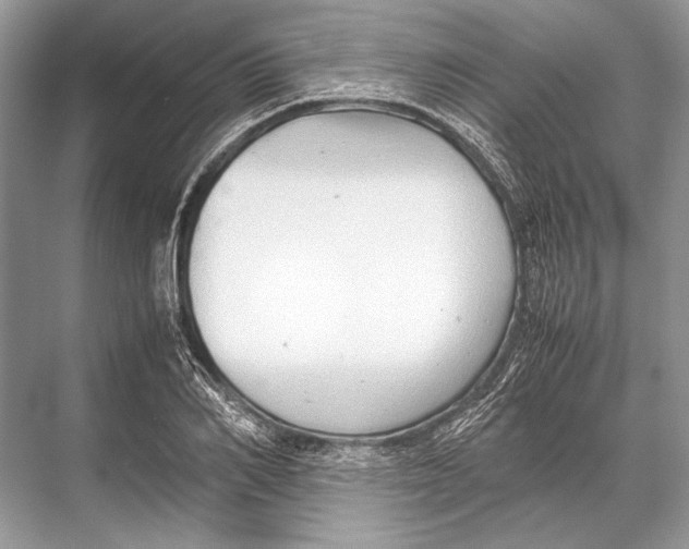 X0000067830982200605041619