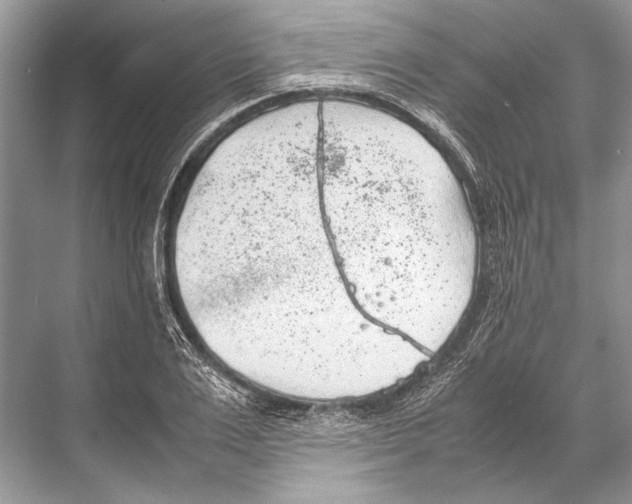 X0000067830983200605041619