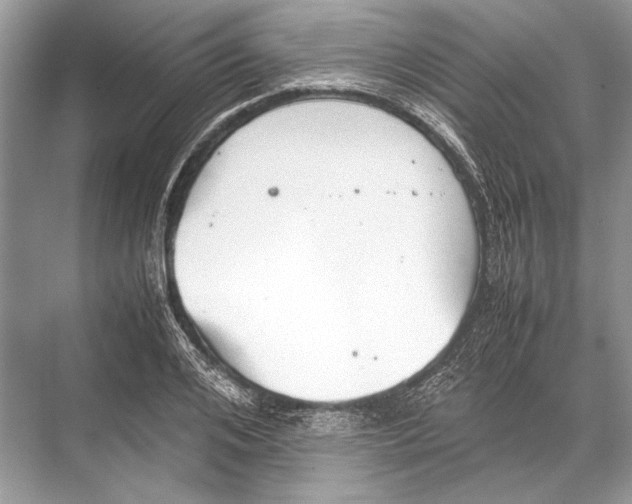 X0000067830984200605041619