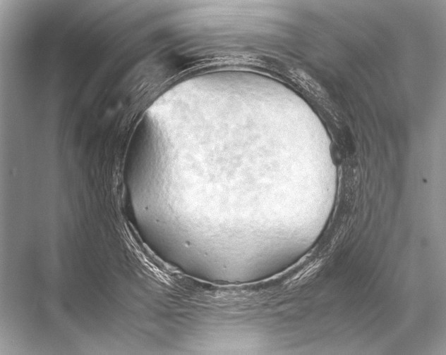 X0000067830985200605041619