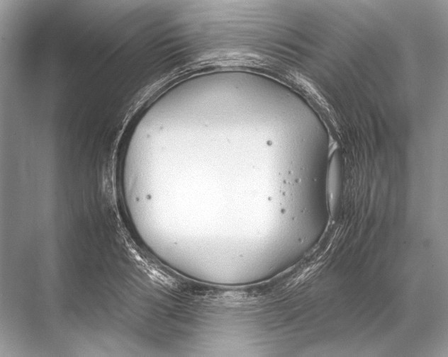 X0000067830986200605041619