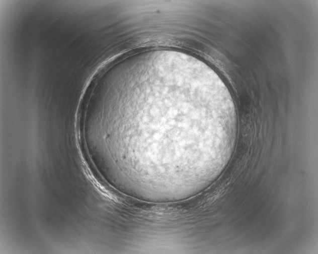 X0000067830987200605041619