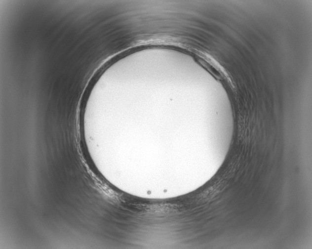 X0000067830988200605041619