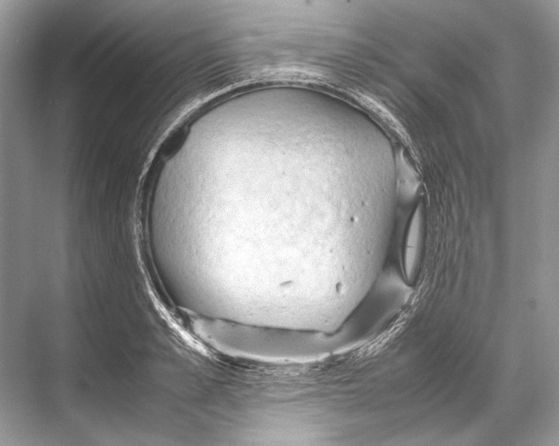 X0000067830989200605041619