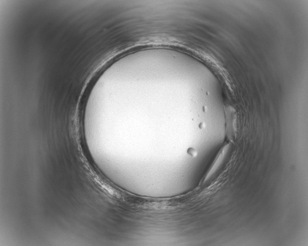 X0000067830990200605041619