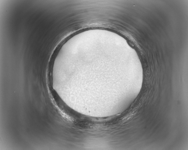 X0000067830991200605041619