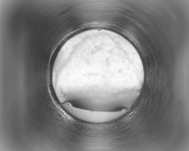 X0000067830992200605041619