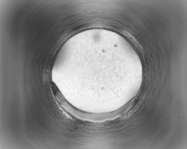 X0000067830993200605041619