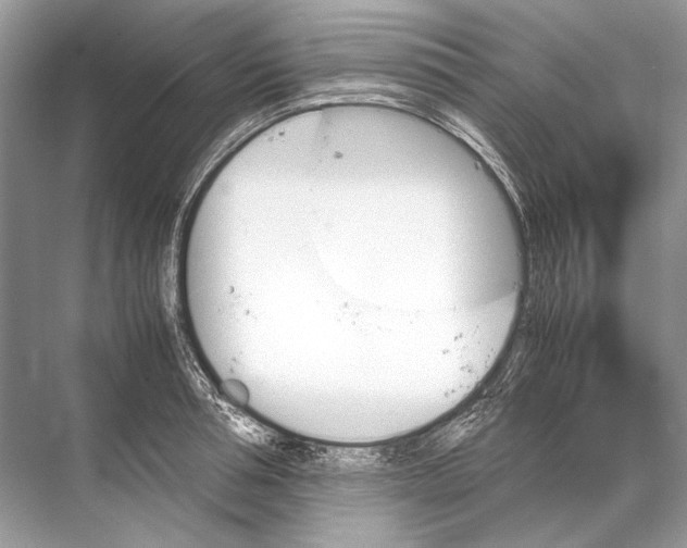 X0000067830994200605041619