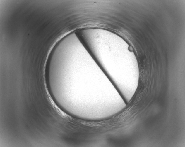 X0000067830995200605041619