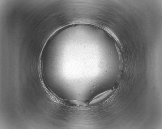 X0000067830996200605041619