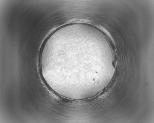 X0000067830997200605041619