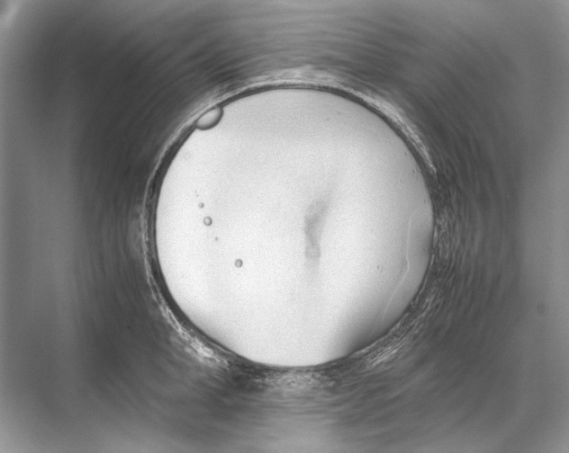 X0000067830998200605041619