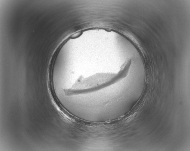 X0000067830999200605041619