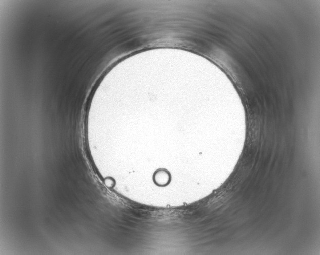 X0000067831000200605041619