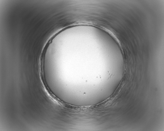 X0000067831003200605041619