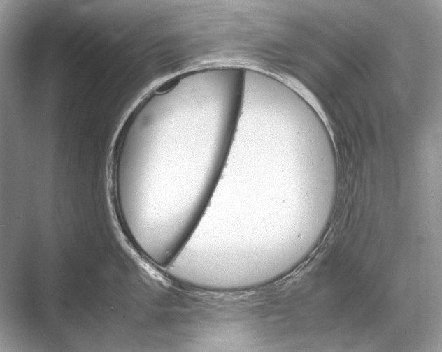 X0000067831005200605041618