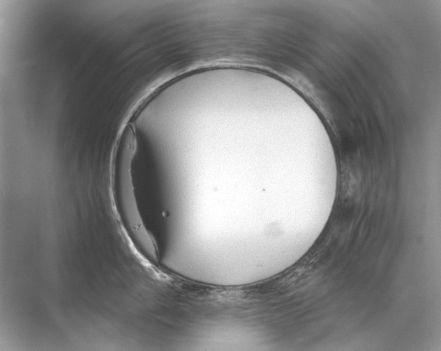 X0000067831006200605041618