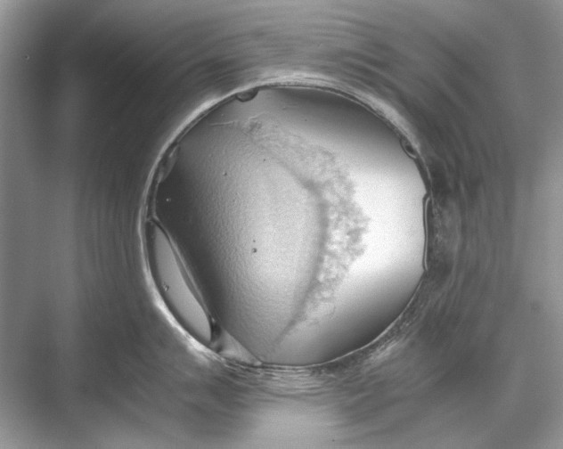 X0000067831007200605041618