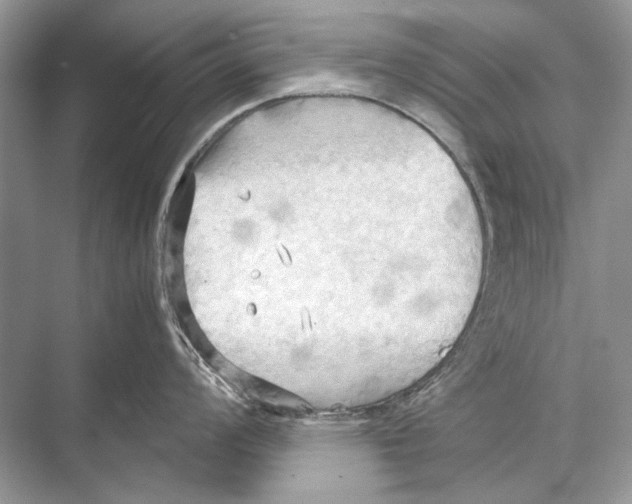 X0000067831008200605041618