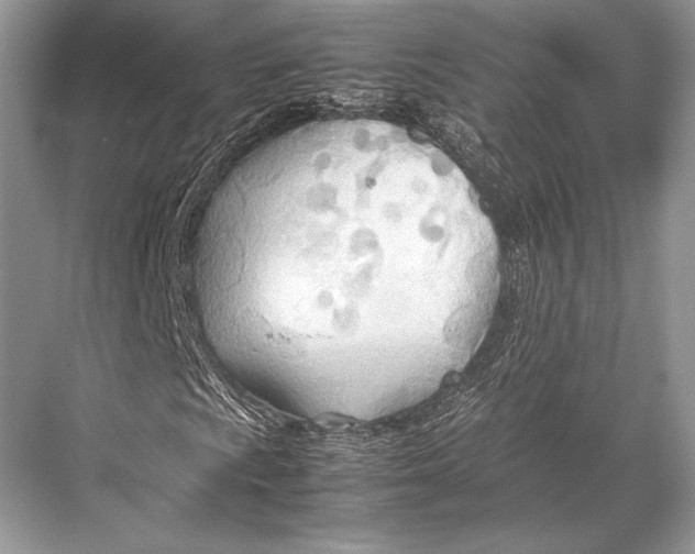 X0000067831009200605041618