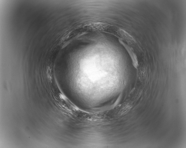 X0000067831010200605041618