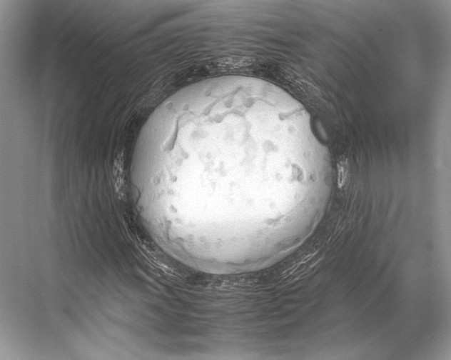 X0000067831011200605041618