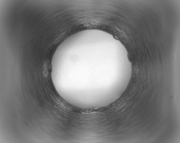 X0000067831012200605041618