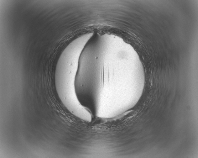 X0000067831014200605041618