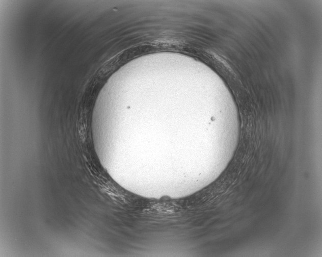 X0000067831015200605041618