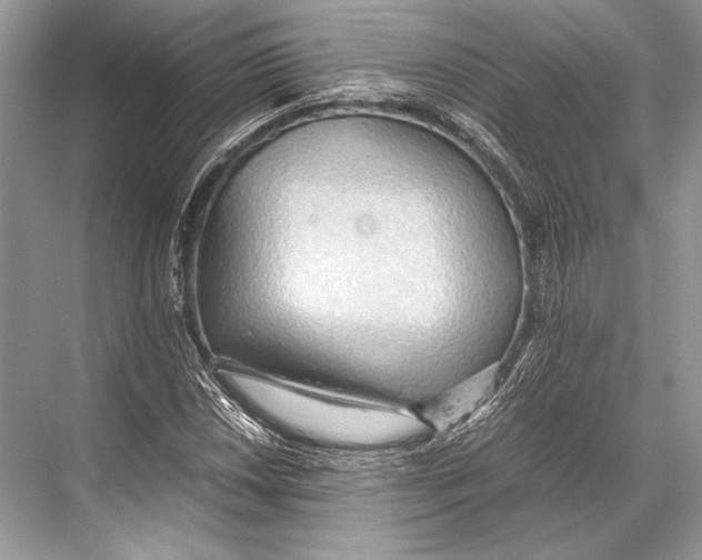 X0000067831018200605041618