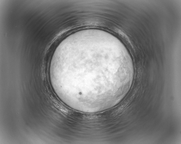 X0000067831019200605041618