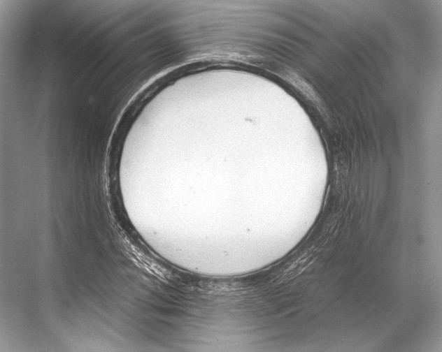 X0000067831020200605041618