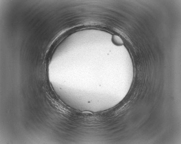 X0000067831021200605041618