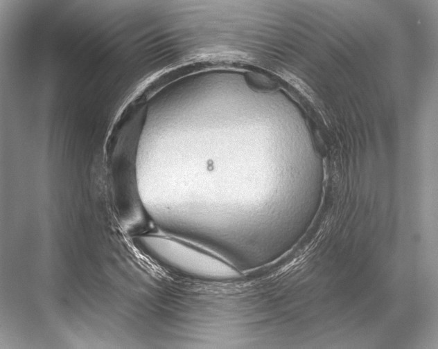 X0000067831022200605041618