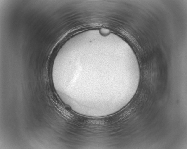 X0000067831023200605041618