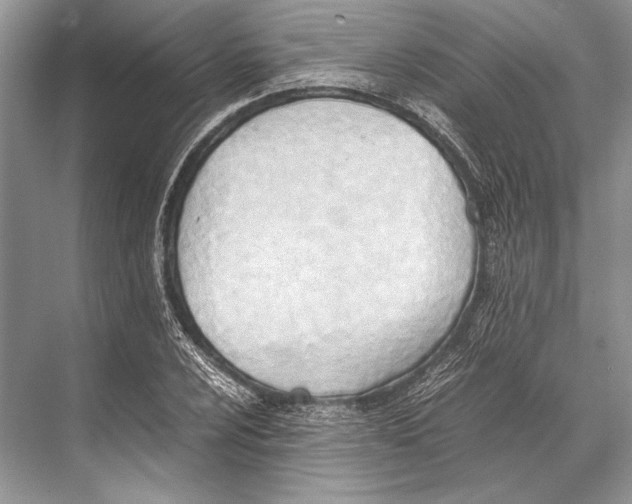 X0000067831024200605041618