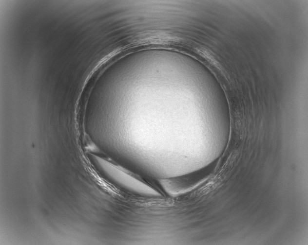 X0000067831026200605041618