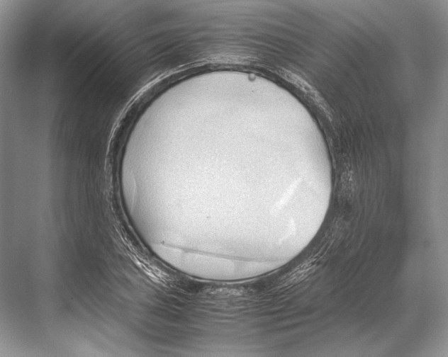 X0000067831027200605041618