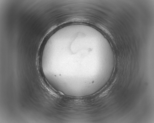 X0000067831029200605041618