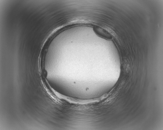 X0000067831030200605041618