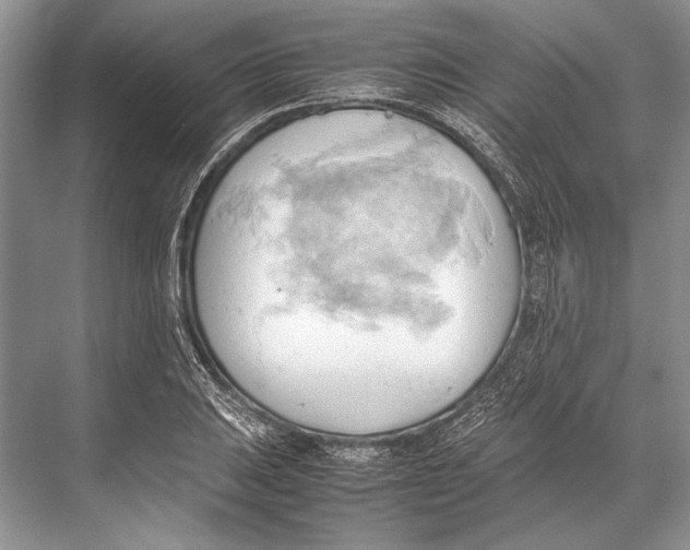 X0000067831031200605041618