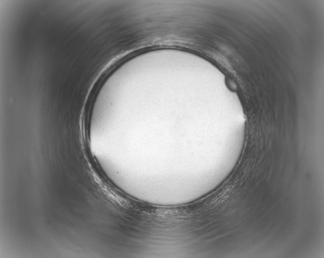 X0000067831032200605041618